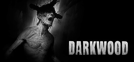 阴暗森林/Darkwood(v4224822) 动作游戏-第1张