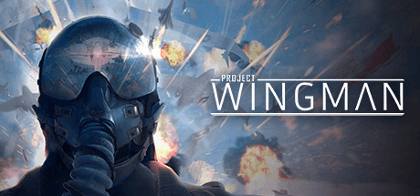 翼之计划|豪华中文|V2.1.0+前线战役DLC+全DLC-支持VR 动作游戏-第1张