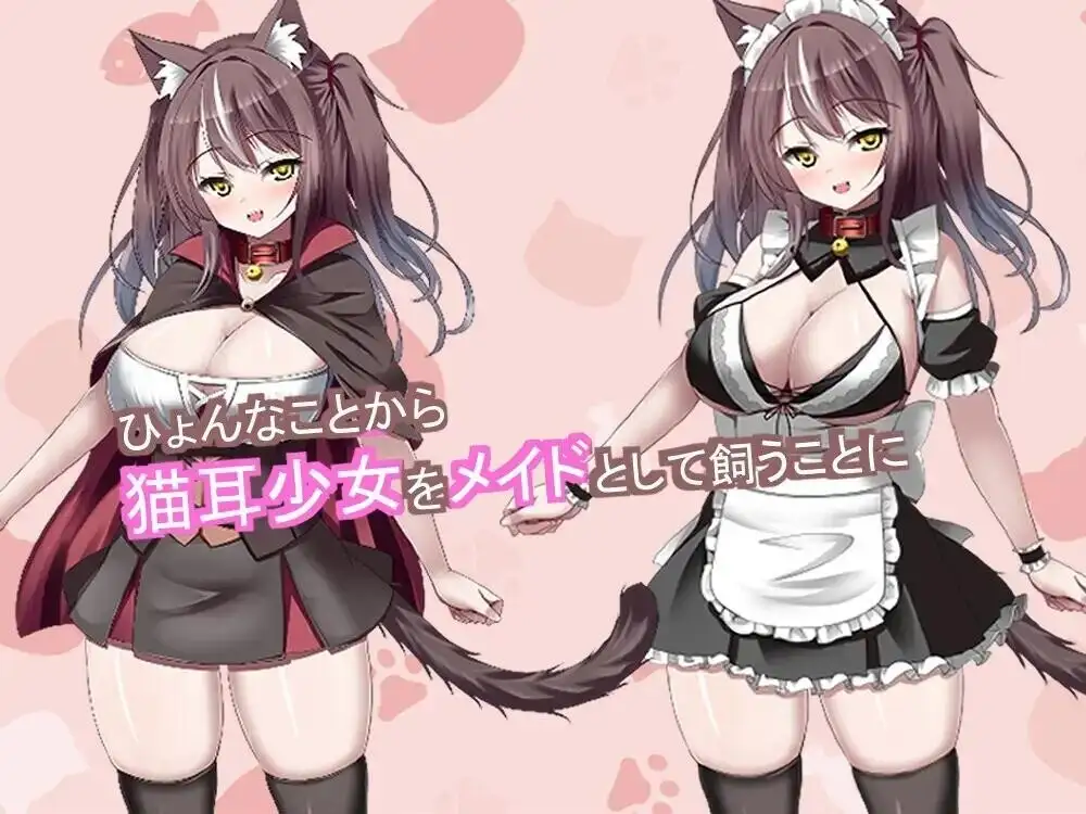 【SLG/AI汉化】开始饲养猫耳女仆.与猫耳女仆的甜蜜同居生活0.1.0【PC/518M】 电脑端-第1张